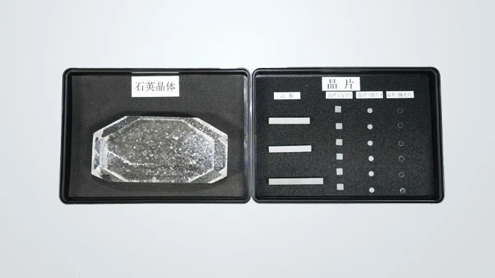 2026.3.12植樹節(jié)5