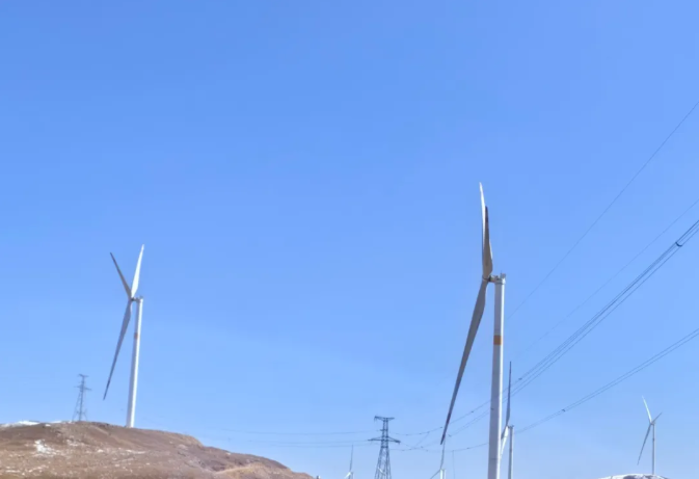 2026.4.12春風(fēng)催綠3